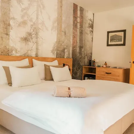 Hotel Hotel Soyka Spindleruv Mlyn