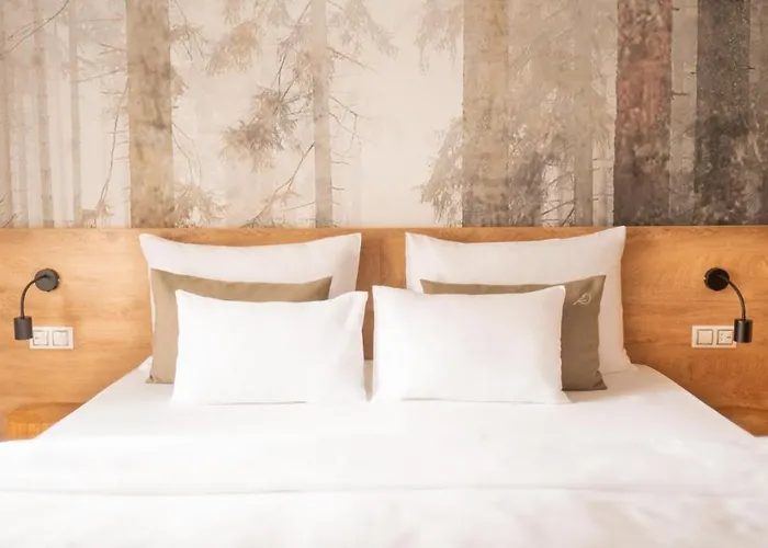Boutique Hotel Soyka 4*